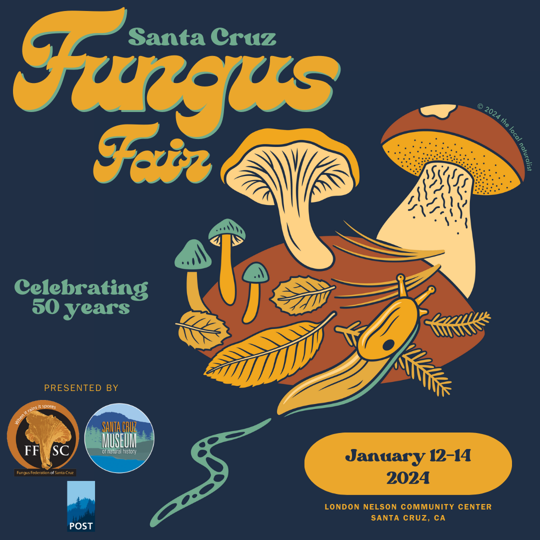 Santa Cruz Fungus Fair 2025